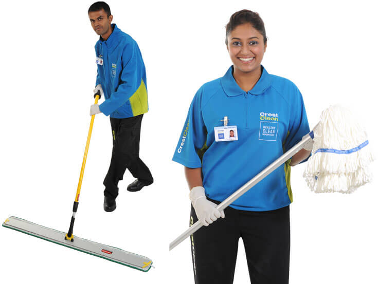 environmental cleaners