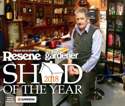 Glenn Cockroft in his award-winning Invercargill shed. Photo: ROBYN EDIE/STUFF