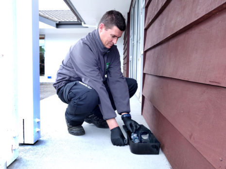 PestCo Service Technician Mike Wills says he’s busier than previous years dealing with rats and mice.