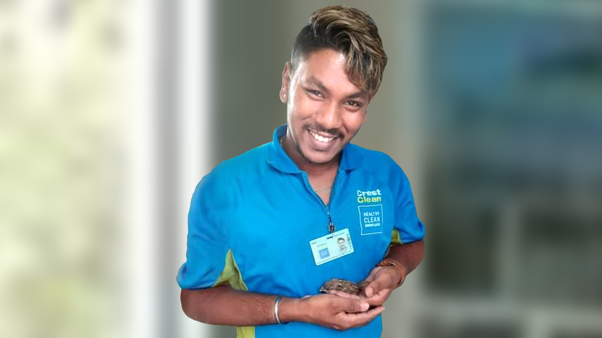 Bird-whispering cleaner rescues sparrow from Dunedin kindergarten